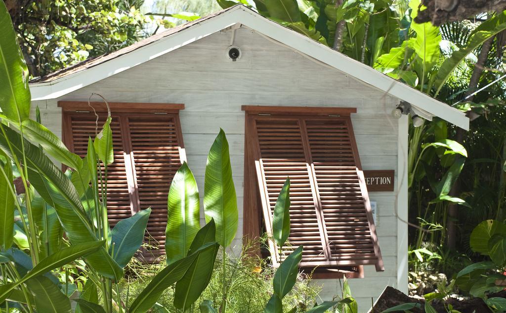 Eco Lifestyle And Lodge Bathsheba ภายนอก รูปภาพ