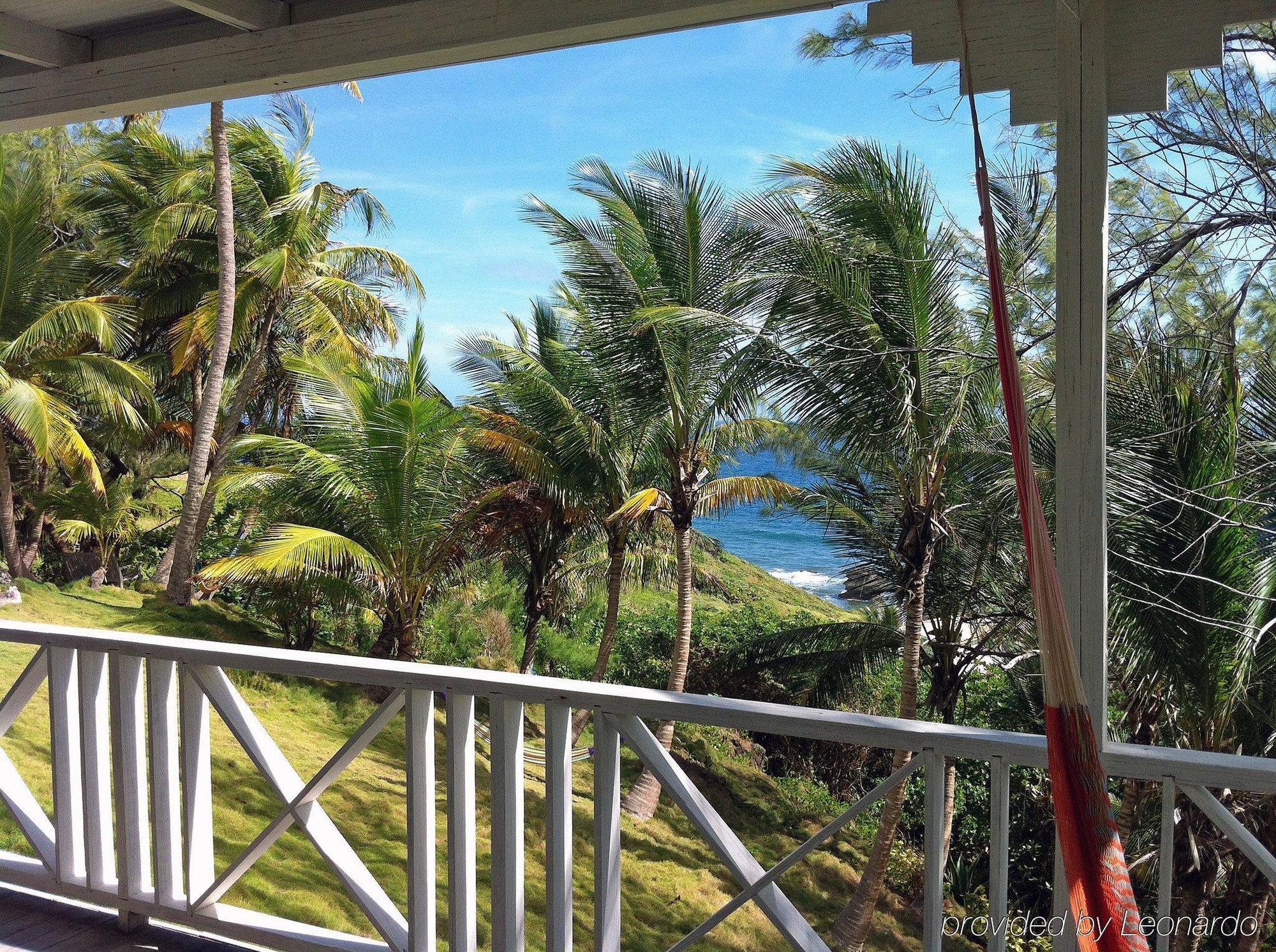 Eco Lifestyle And Lodge Bathsheba ภายนอก รูปภาพ