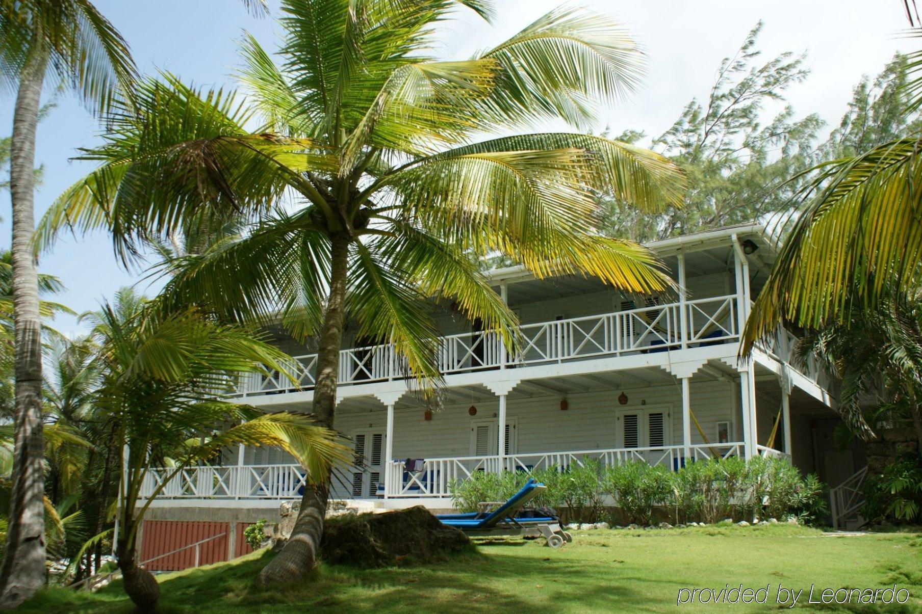 Eco Lifestyle And Lodge Bathsheba ภายนอก รูปภาพ