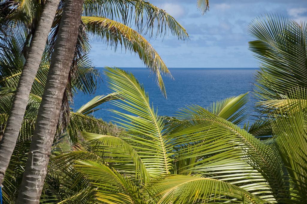 Eco Lifestyle And Lodge Bathsheba ภายนอก รูปภาพ