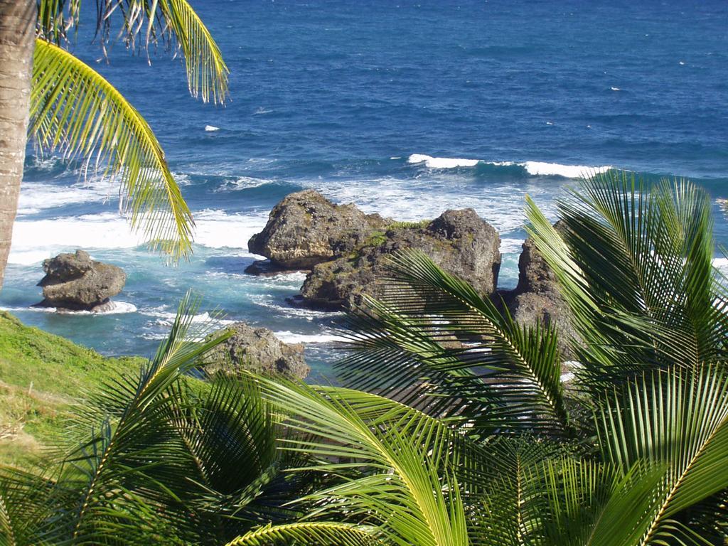 Eco Lifestyle And Lodge Bathsheba ภายนอก รูปภาพ