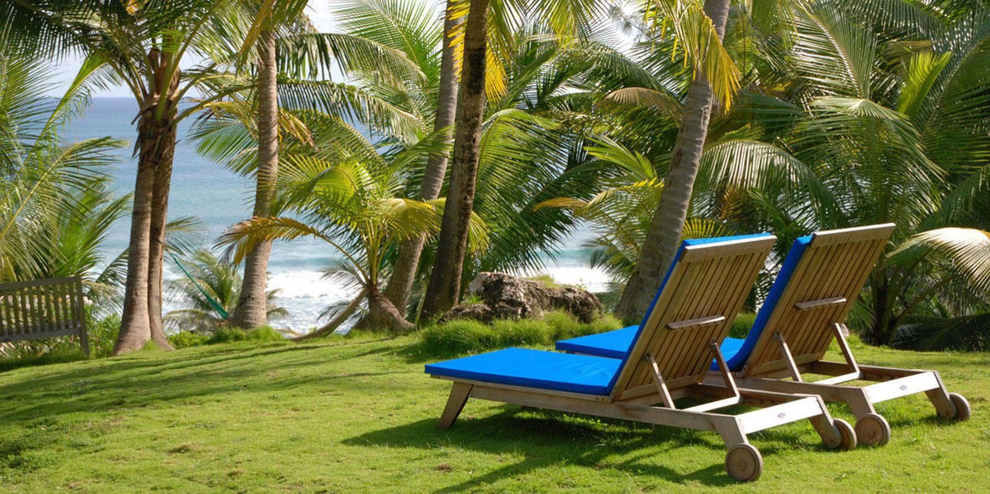Eco Lifestyle And Lodge Bathsheba ภายนอก รูปภาพ