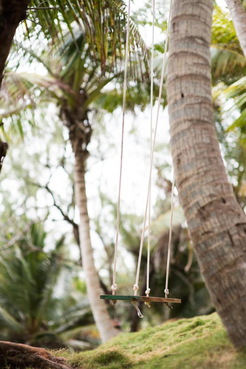 Eco Lifestyle And Lodge Bathsheba ภายนอก รูปภาพ