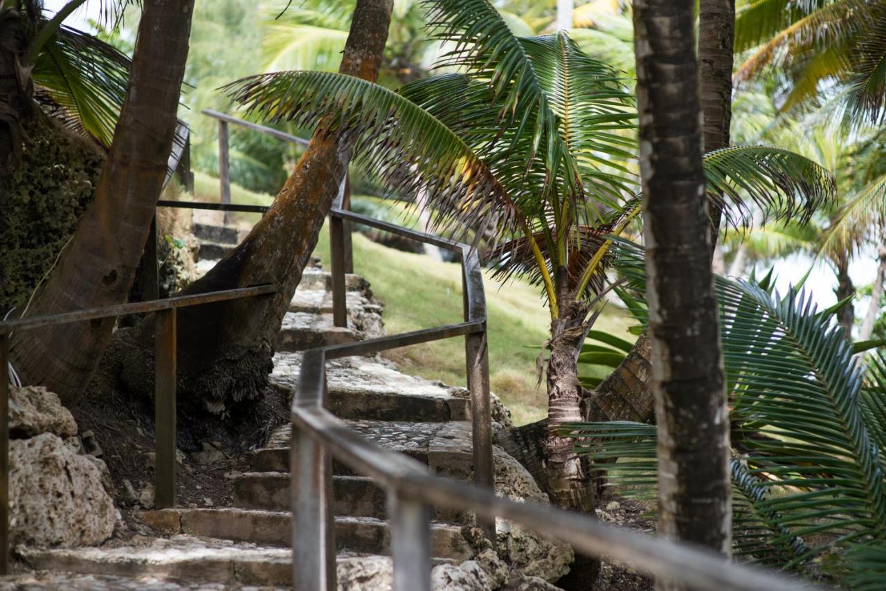 Eco Lifestyle And Lodge Bathsheba ภายนอก รูปภาพ